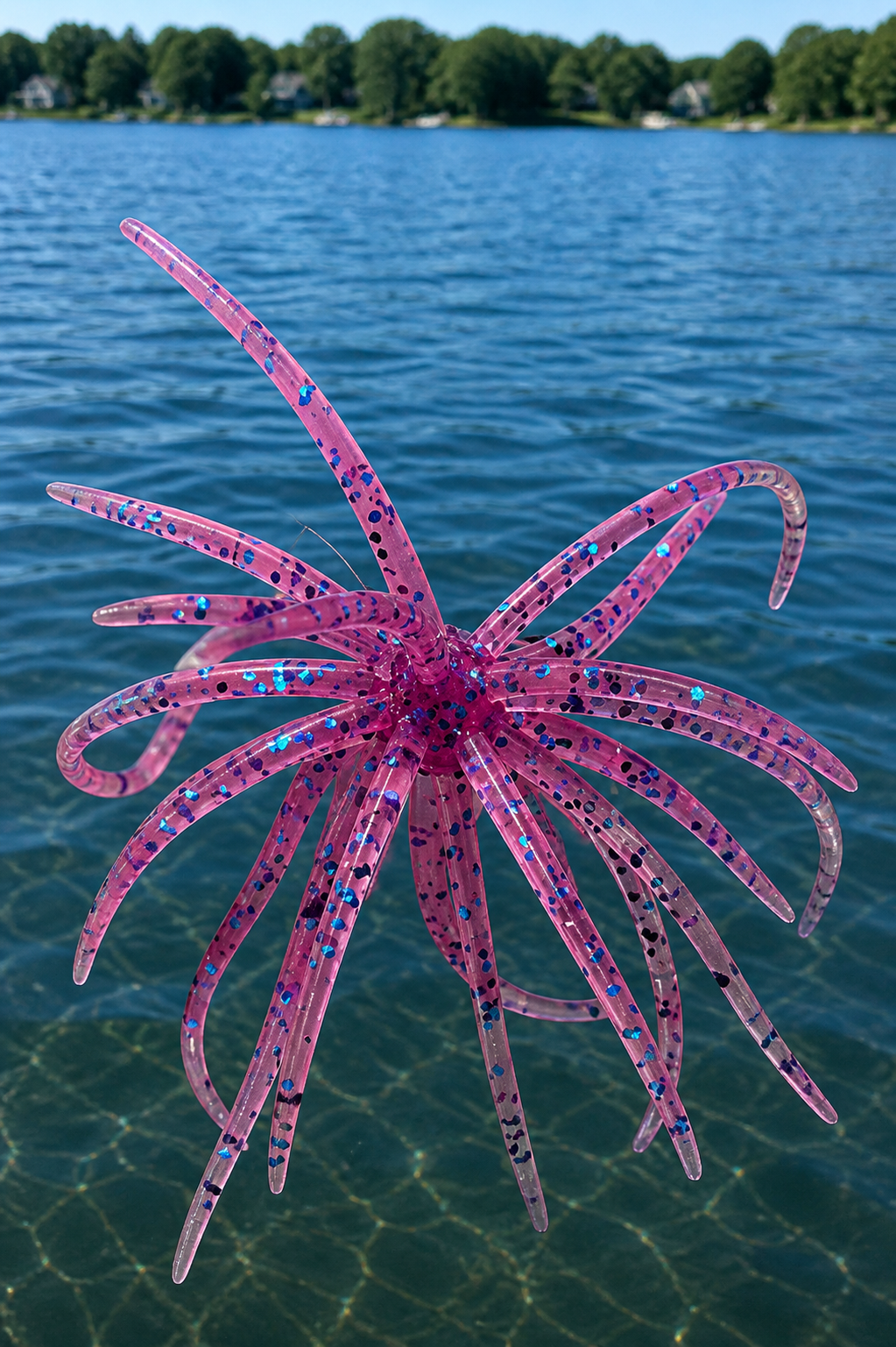 Mini Urchin 7cm (2.75") - 4 pack - Pre-Order - Expected Mid June