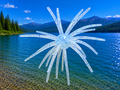 Super Urchin 11cm (4.5") - 3 pack - The Absolute BEST Spiney Bait Available!!!