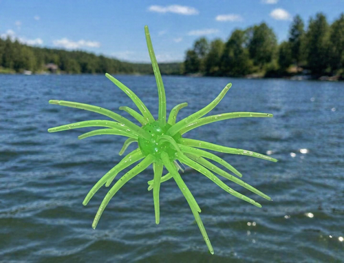 Mini Urchin 7cm (2.75") - 4 pack - Pre-Order - Expected Mid June