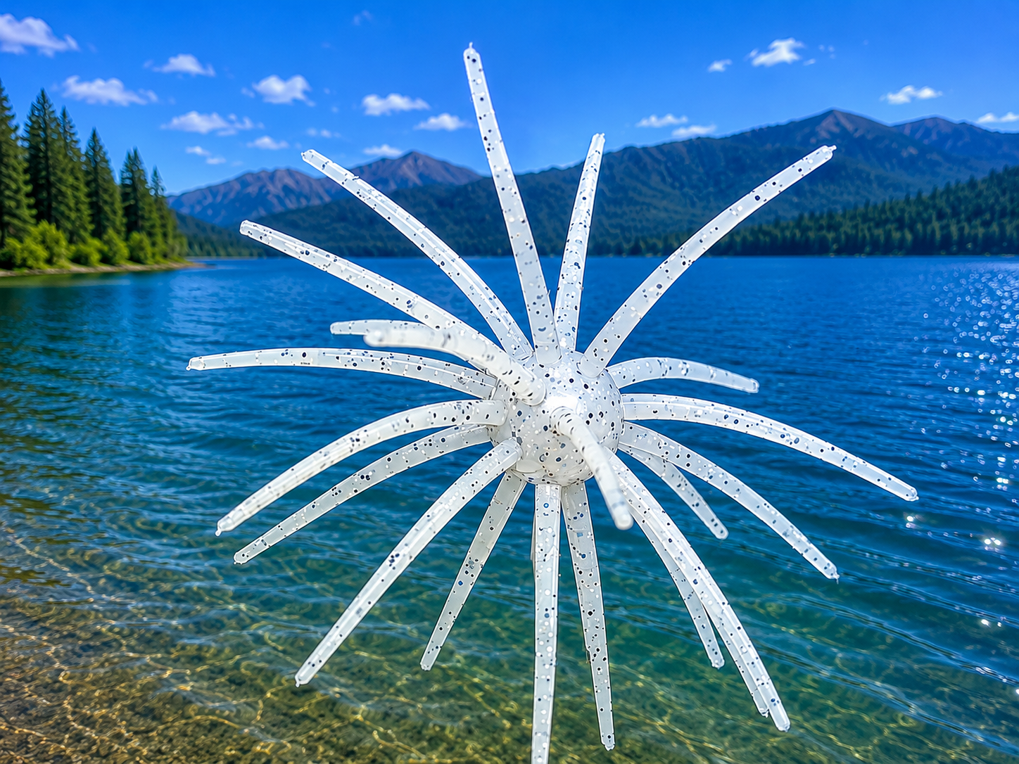 Super Urchin 11cm (4.5") - 3 pack - The Absolute BEST Spiney Bait Available!!!