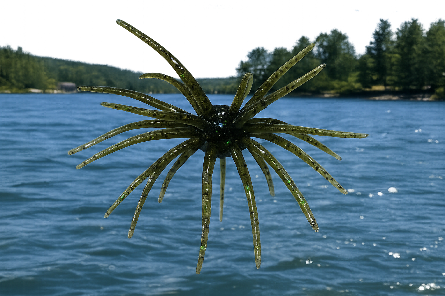 Mini Urchin 7cm (2.75") - 4 pack - Pre-Order - Expected Mid June